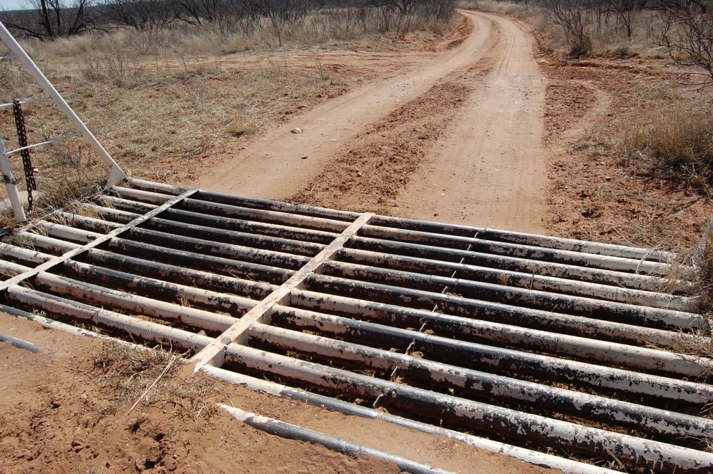 cattle-guard-info-cattle-guard-farming-livestock-cattle-cows